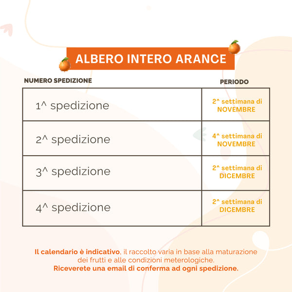 Albero di Arance Navelina | 76 Kg di Arance | 4 Spedizioni