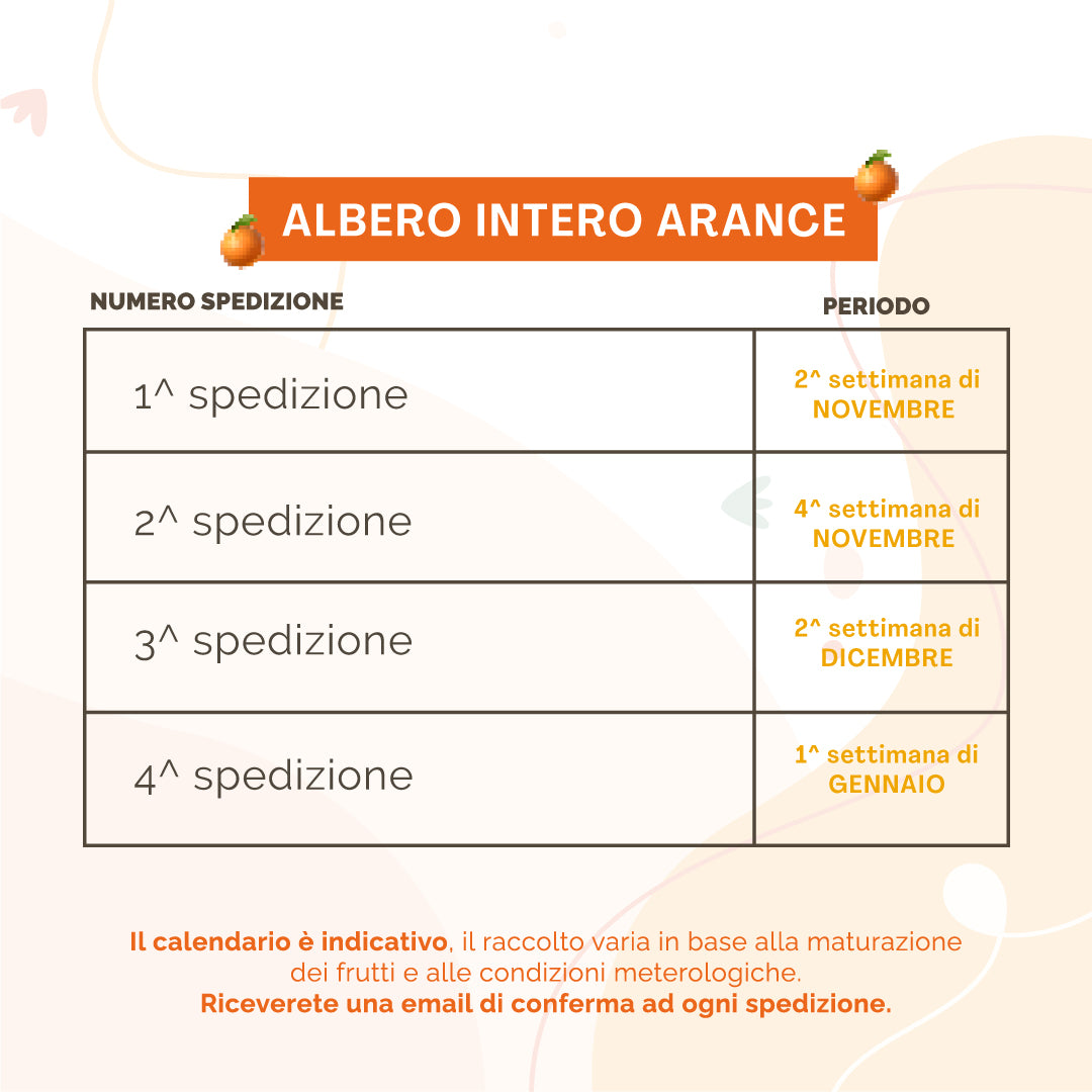 Albero di Arance Navelina | 76 Kg di Arance | 4 Spedizioni