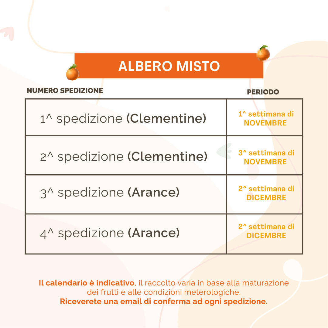 Albero Misto arance e clementine | 38 Kg + 38 Kg di Arance e Clementine | 4 Spedizioni