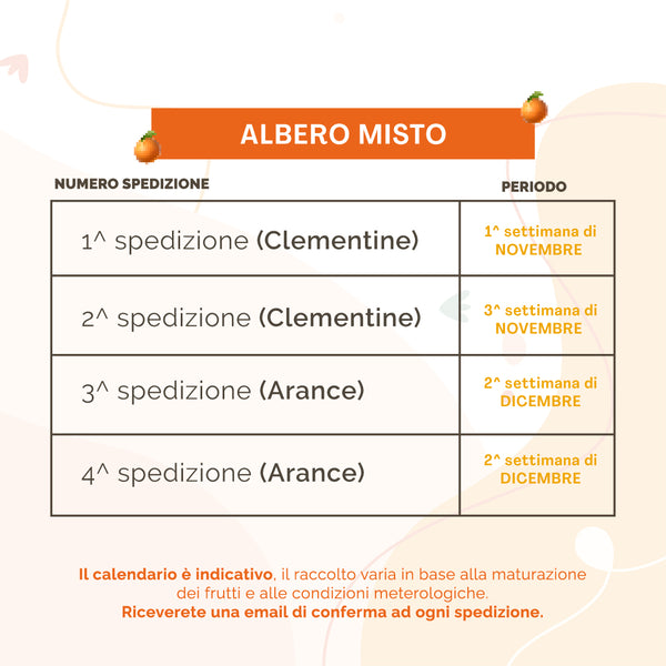 Albero Misto arance e clementine | 38 Kg + 38 Kg di Arance e Clementine | 4 Spedizioni
