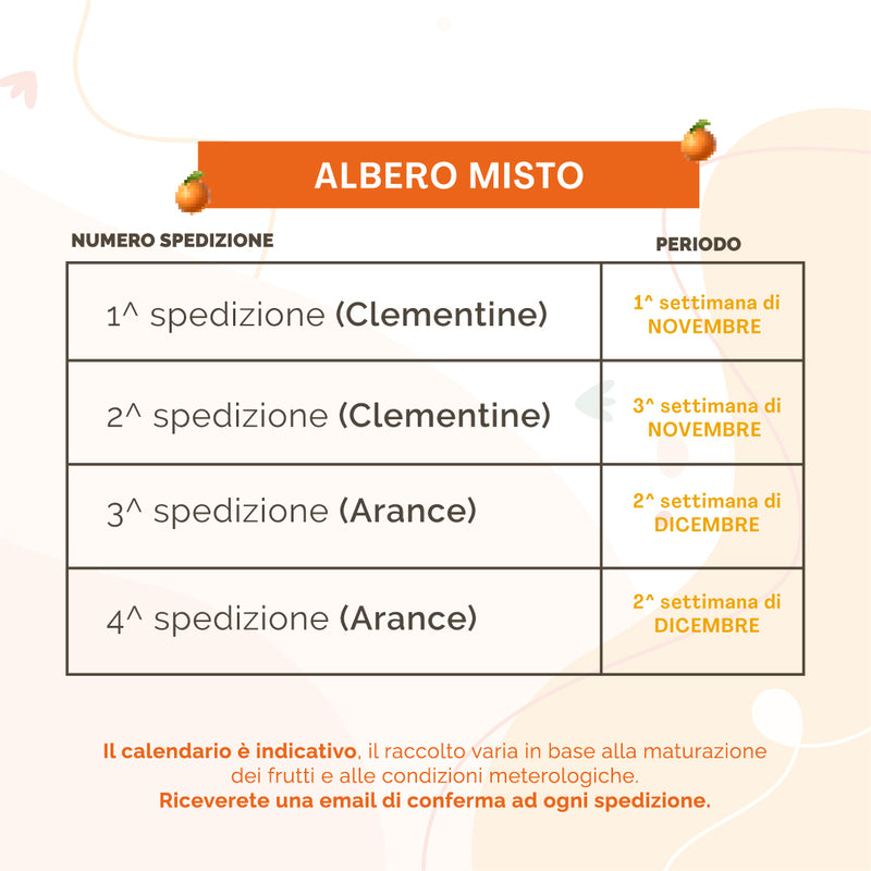 Albero Misto arance e clementine | 38 Kg + 38 Kg di Arance e Clementine | 4 Spedizioni