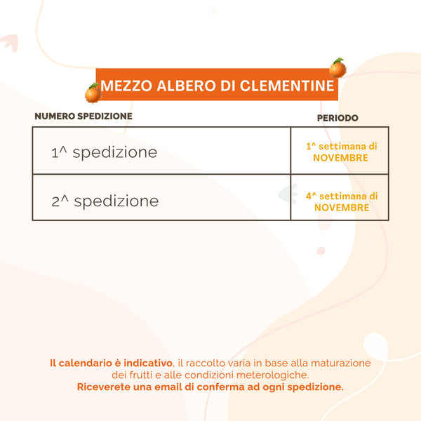 Mezzo Albero di Clementine | 38Kg di Clementine | 2 Spedizioni
