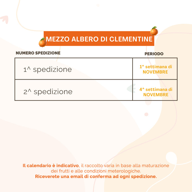 Mezzo Albero di Clementine | 38Kg di Clementine | 2 Spedizioni