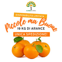 #PiccolemaBuone - 19kg di Arance Piccole Ma Buone