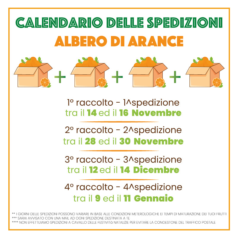 Arco Spedizioni S.p.A. On LinkedIn: Da Oggi Trovate Arco Spedizioni S.p.A. Anche Sulle Pagine - Foto 5