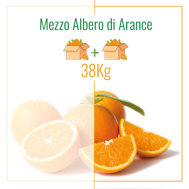 Mezzo Albero di Arance Navelina | 38Kg di Arance | 2 Spedizioni