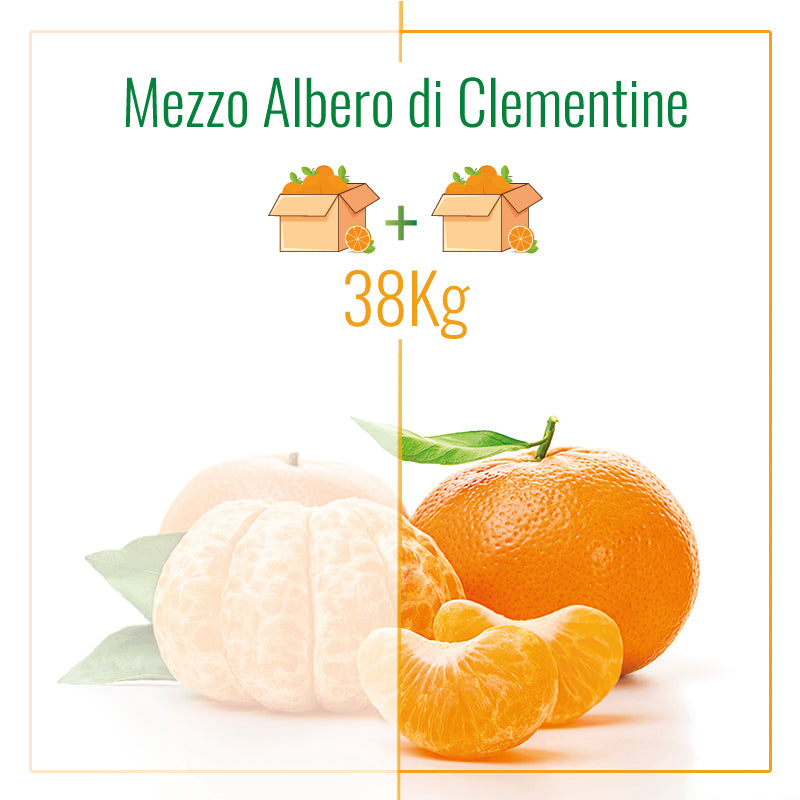 Mezzo Albero di Clementine | 38Kg di Clementine | 2 Spedizioni