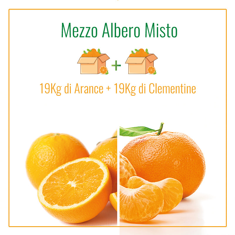 Mezzo Albero Misto | 19Kg + 19Kg di Arance e Clementine | 2 Spedizioni